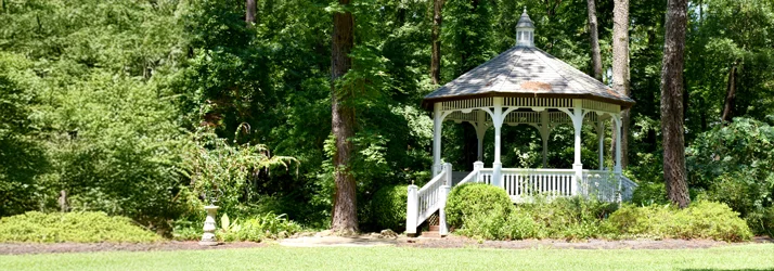 ChiroPure in Charlotte NC ChiroPure in Charlotte NC